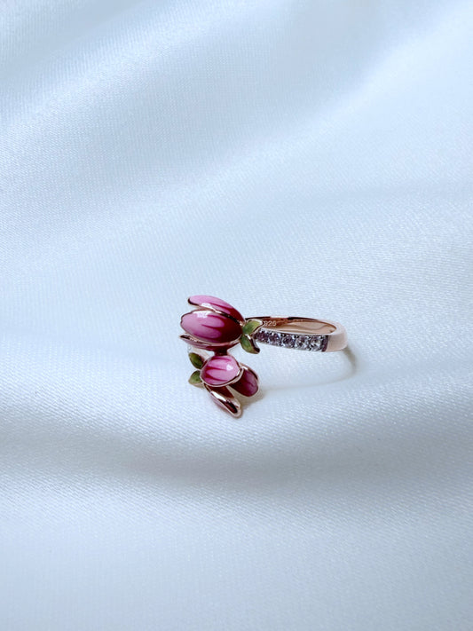 Anillo Jardín de la Princesa