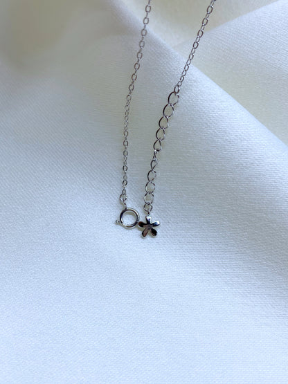 Pulserita mariposas