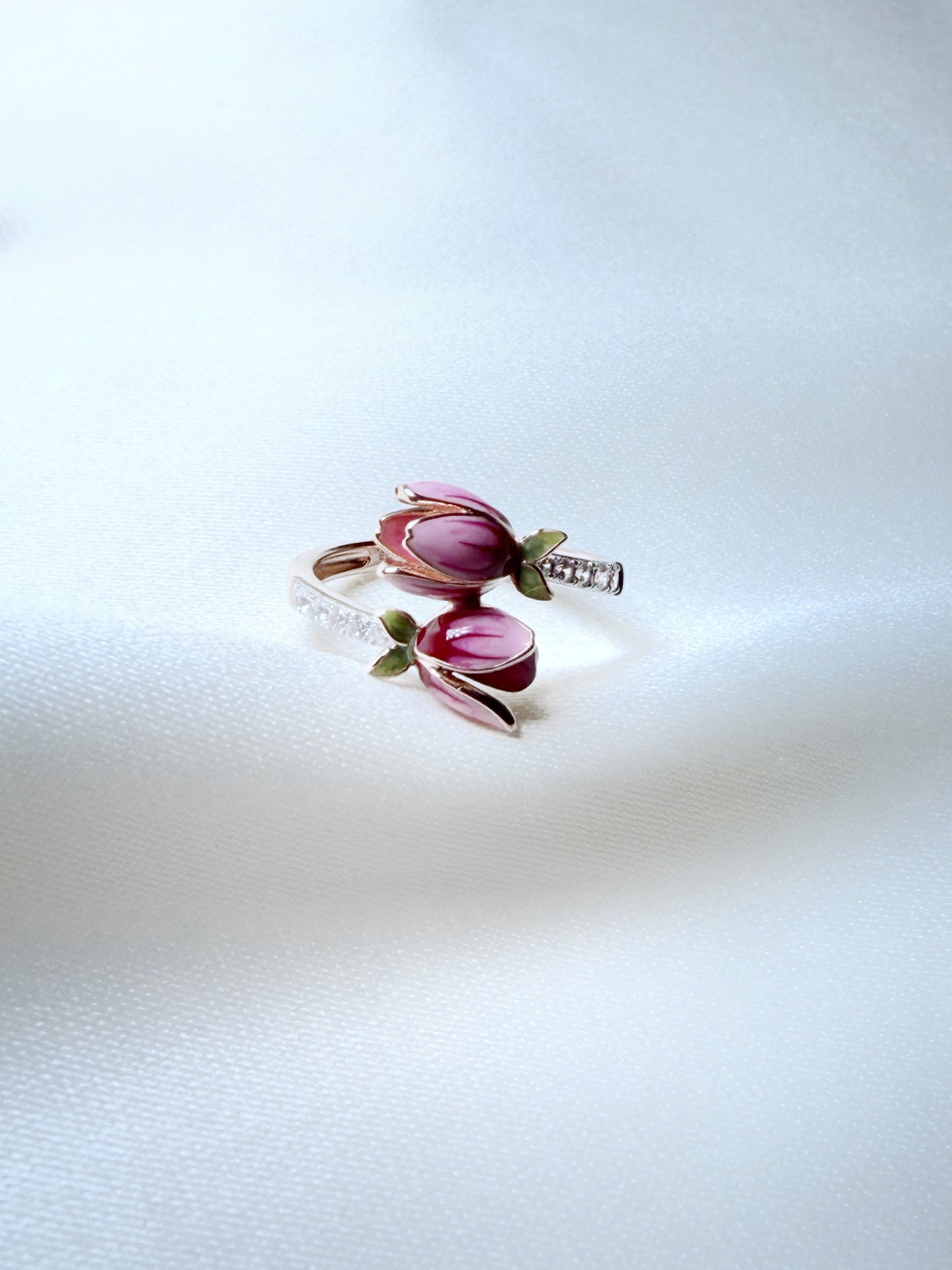 Anillo Jardín de la Princesa