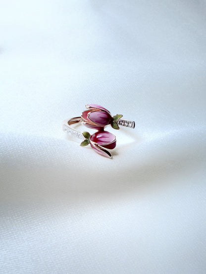 Anillo Jardín de la Princesa