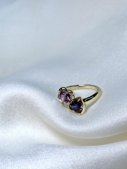 Anillo Almas gemelas