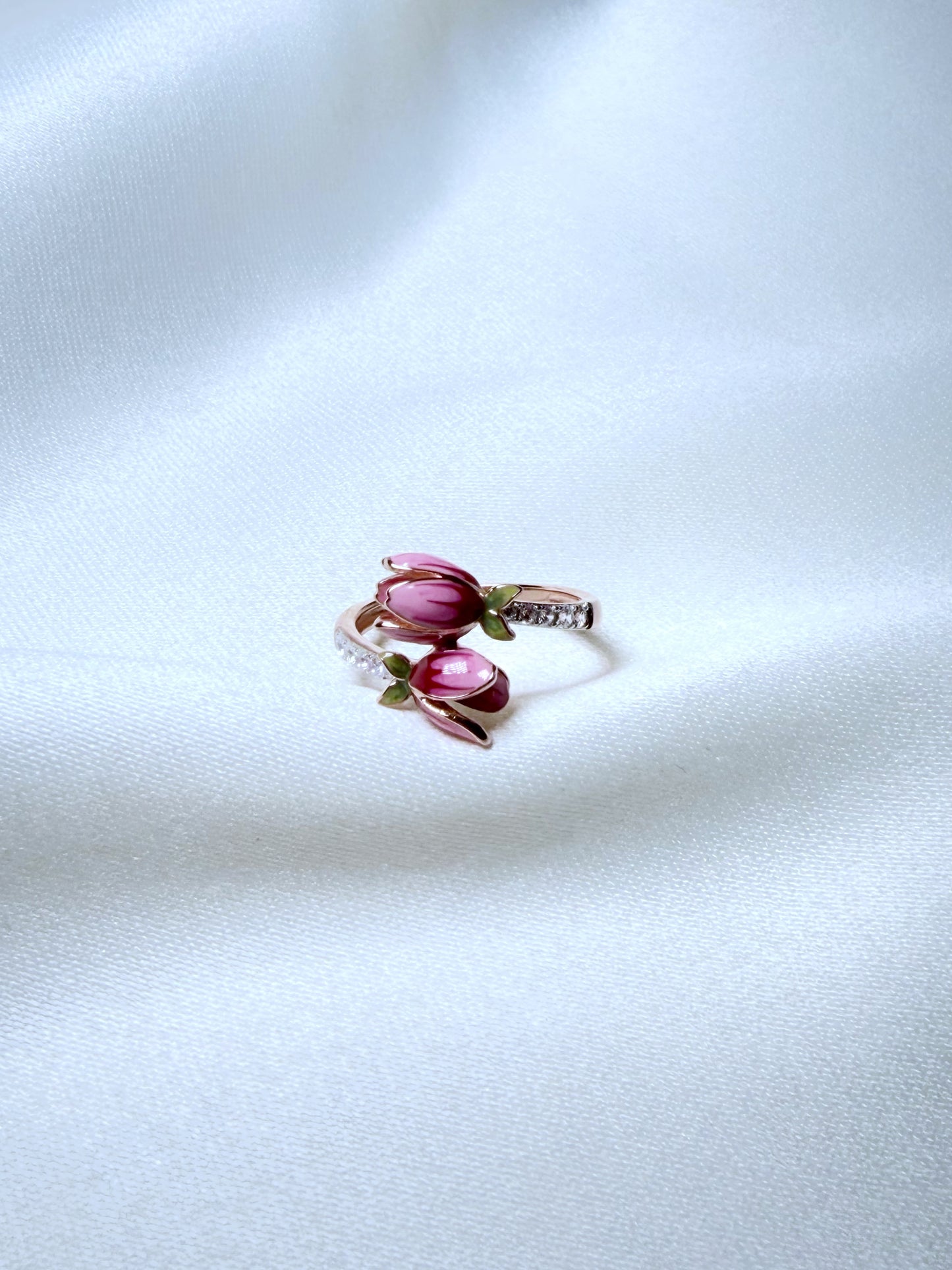 Anillo Jardín de la Princesa