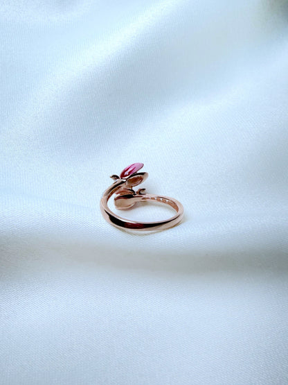 Anillo Jardín de la Princesa
