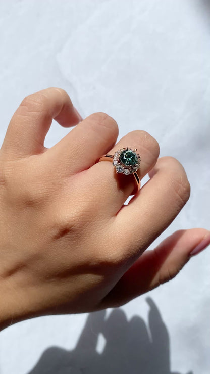 Anillo Argelia